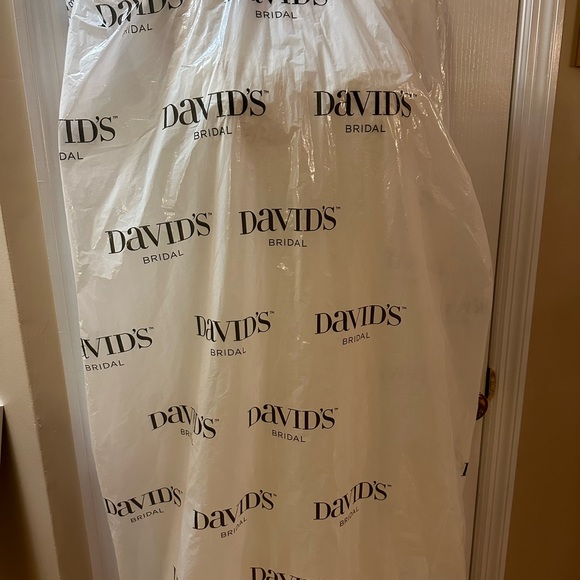 COPY - David’s Bridal Floor Length Wedding Gown - Picture 8 of 13